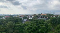 Fourth Avenue Residences (D10), Apartment #584192871